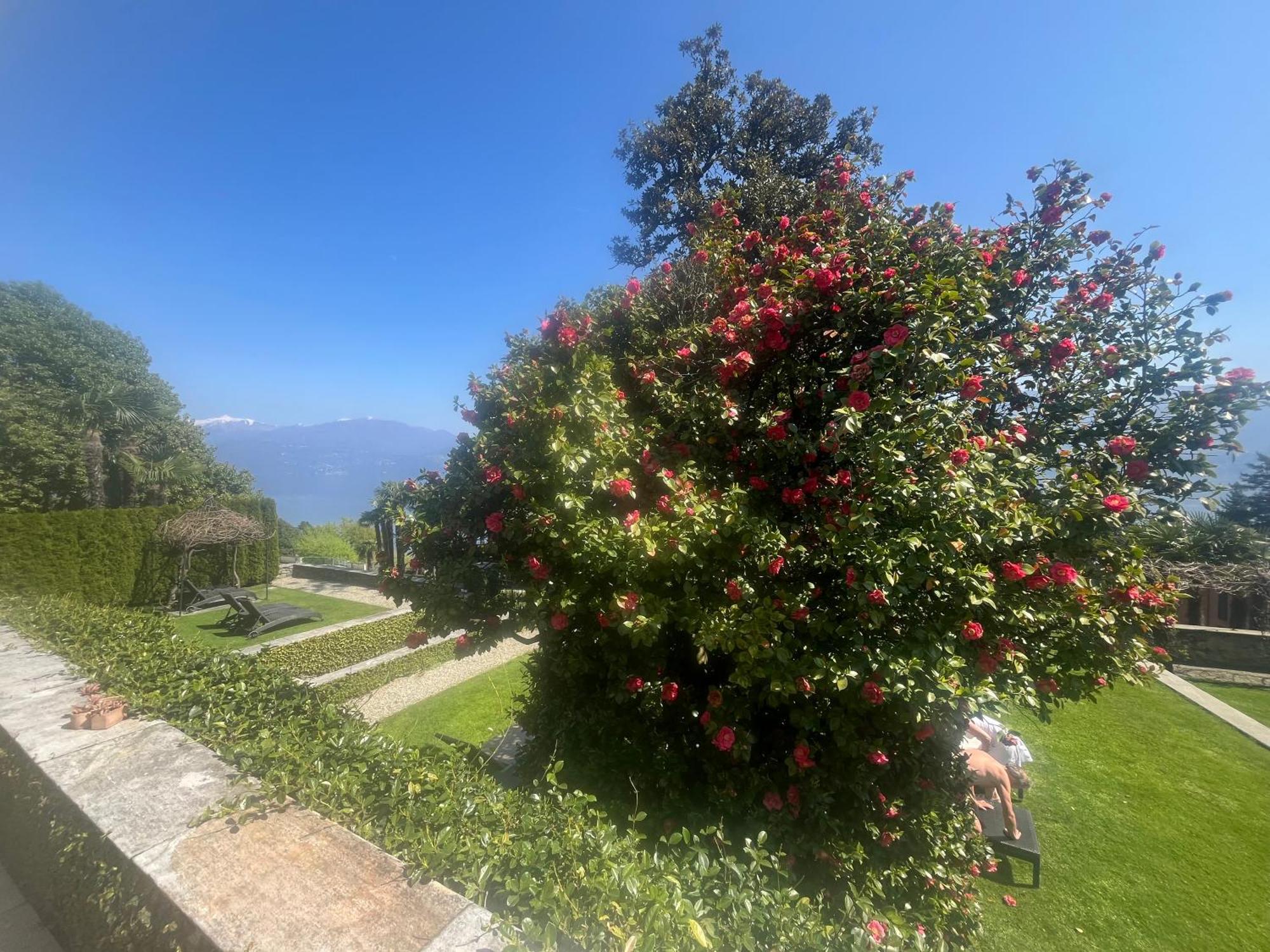 Relais Villa Margherita Oggebio 외부 사진